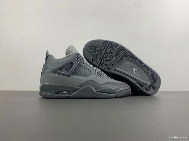 Rep Paris SE Olympics Jordan Air 4 0712